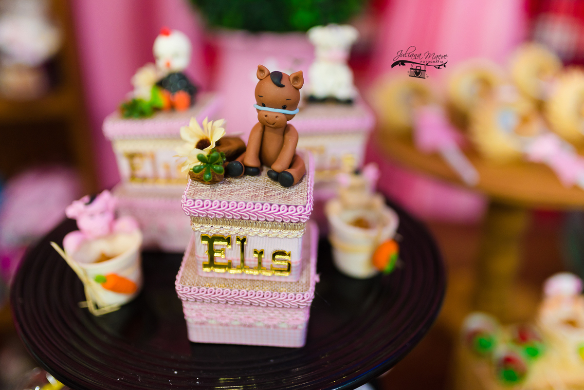 Aniversario  Infantil ouro preto, Juliana Maeve, Juliana maeve Fotografia, Fotografa de Aniversario em ouro preto, Fotografa Infantil Ouro Preto, Fotografa de bebes em Ouro Preto, Aniversario de criança em ouro Preto, fotografa de familia em ouro preto