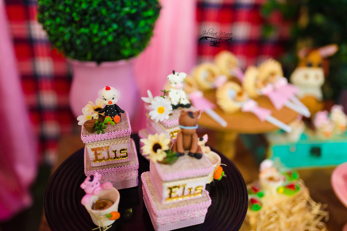 Aniversario  Infantil ouro preto, Juliana Maeve, Juliana maeve Fotografia, Fotografa de Aniversario em ouro preto, Fotografa Infantil Ouro Preto, Fotografa de bebes em Ouro Preto, Aniversario de criança em ouro Preto, fotografa de familia em ouro preto