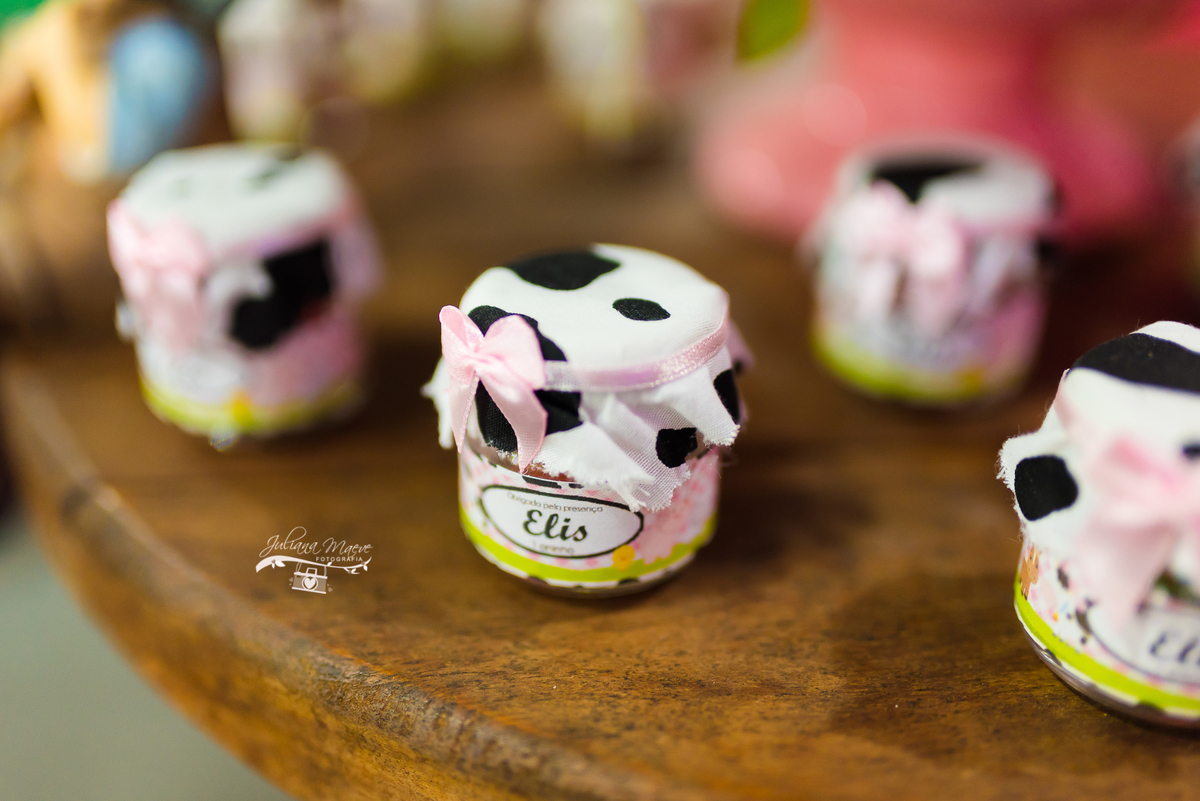 Aniversario  Infantil ouro preto, Juliana Maeve, Juliana maeve Fotografia, Fotografa de Aniversario em ouro preto, Fotografa Infantil Ouro Preto, Fotografa de bebes em Ouro Preto, Aniversario de criança em ouro Preto, fotografa de familia em ouro preto