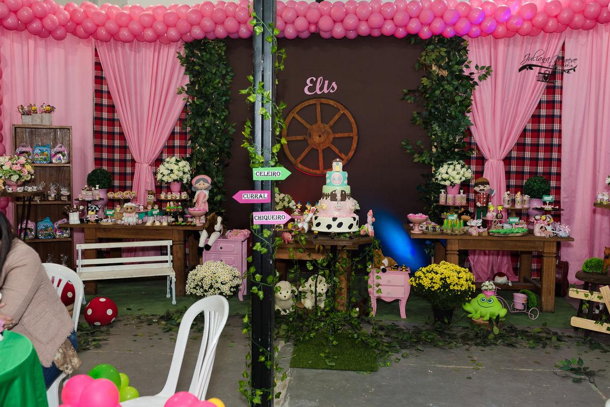 Aniversario  Infantil ouro preto, Juliana Maeve, Juliana maeve Fotografia, Fotografa de Aniversario em ouro preto, Fotografa Infantil Ouro Preto, Fotografa de bebes em Ouro Preto, Aniversario de criança em ouro Preto, fotografa de familia em ouro preto