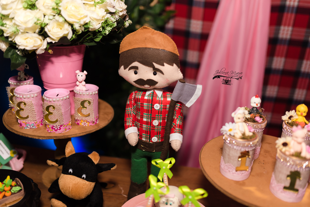 Aniversario  Infantil ouro preto, Juliana Maeve, Juliana maeve Fotografia, Fotografa de Aniversario em ouro preto, Fotografa Infantil Ouro Preto, Fotografa de bebes em Ouro Preto, Aniversario de criança em ouro Preto, fotografa de familia em ouro preto