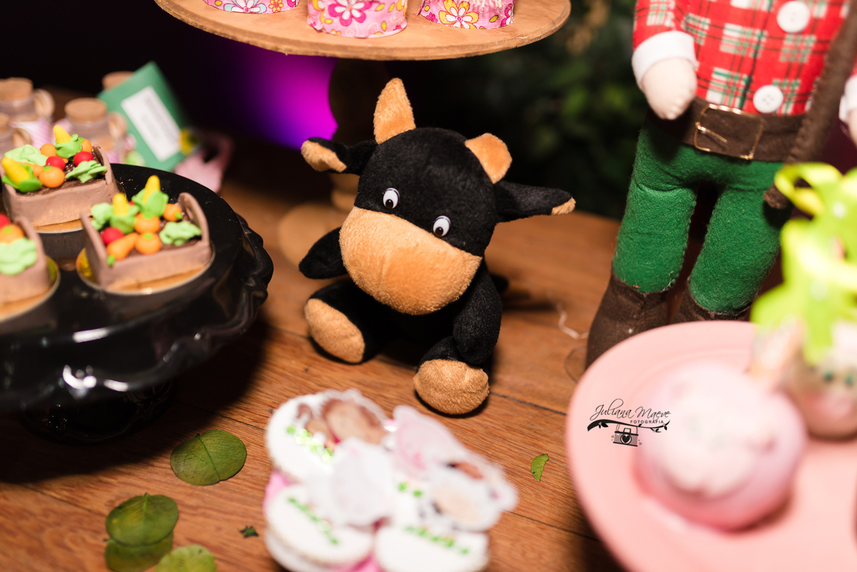 Aniversario  Infantil ouro preto, Juliana Maeve, Juliana maeve Fotografia, Fotografa de Aniversario em ouro preto, Fotografa Infantil Ouro Preto, Fotografa de bebes em Ouro Preto, Aniversario de criança em ouro Preto, fotografa de familia em ouro preto