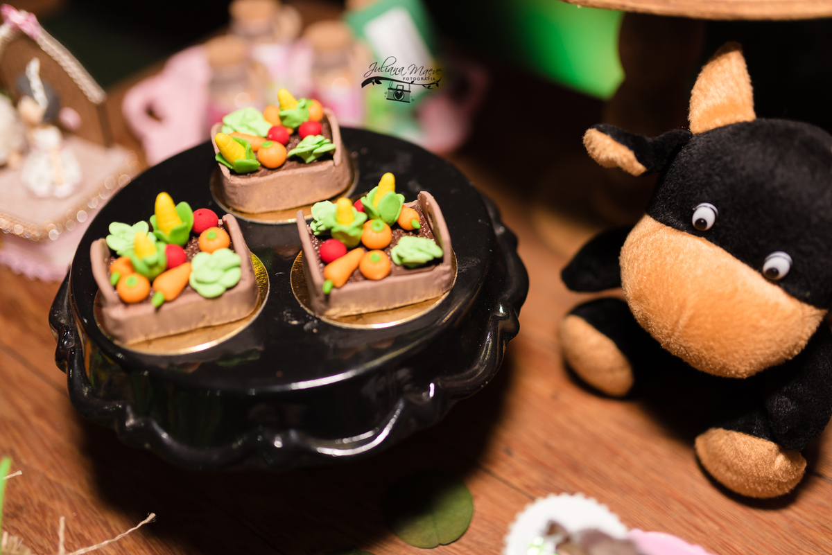 Aniversario  Infantil ouro preto, Juliana Maeve, Juliana maeve Fotografia, Fotografa de Aniversario em ouro preto, Fotografa Infantil Ouro Preto, Fotografa de bebes em Ouro Preto, Aniversario de criança em ouro Preto, fotografa de familia em ouro preto