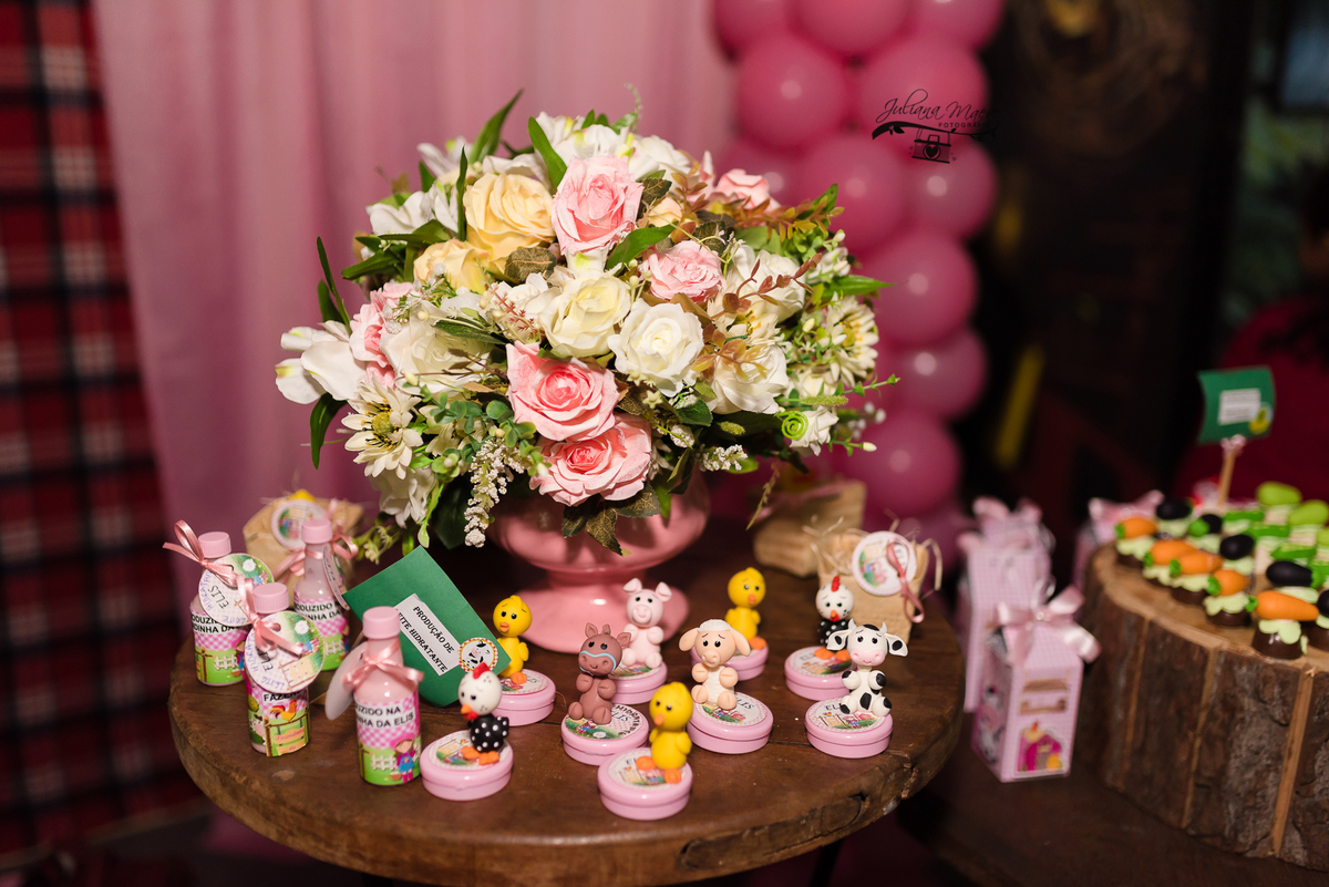 Aniversario  Infantil ouro preto, Juliana Maeve, Juliana maeve Fotografia, Fotografa de Aniversario em ouro preto, Fotografa Infantil Ouro Preto, Fotografa de bebes em Ouro Preto, Aniversario de criança em ouro Preto, fotografa de familia em ouro preto