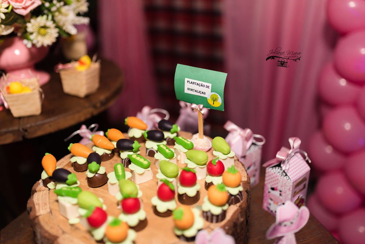 Aniversario  Infantil ouro preto, Juliana Maeve, Juliana maeve Fotografia, Fotografa de Aniversario em ouro preto, Fotografa Infantil Ouro Preto, Fotografa de bebes em Ouro Preto, Aniversario de criança em ouro Preto, fotografa de familia em ouro preto