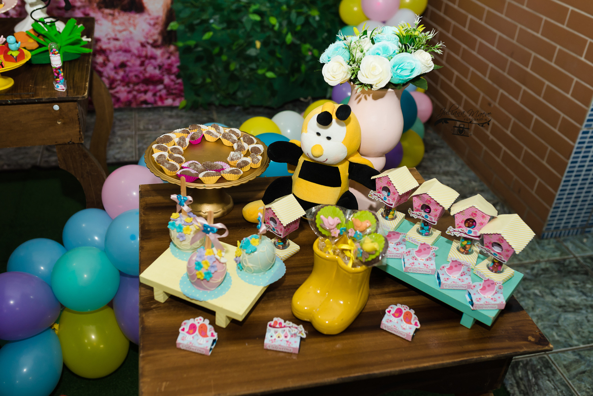 Aniversario  Infantil ouro preto, Juliana Maeve, Juliana maeve Fotografia, Fotografa de Aniversario em ouro preto, Fotografa Infantil Ouro Preto, Fotografa de bebes em Ouro Preto, Aniversario de criança em ouro Preto, fotografa de familia em ouro preto