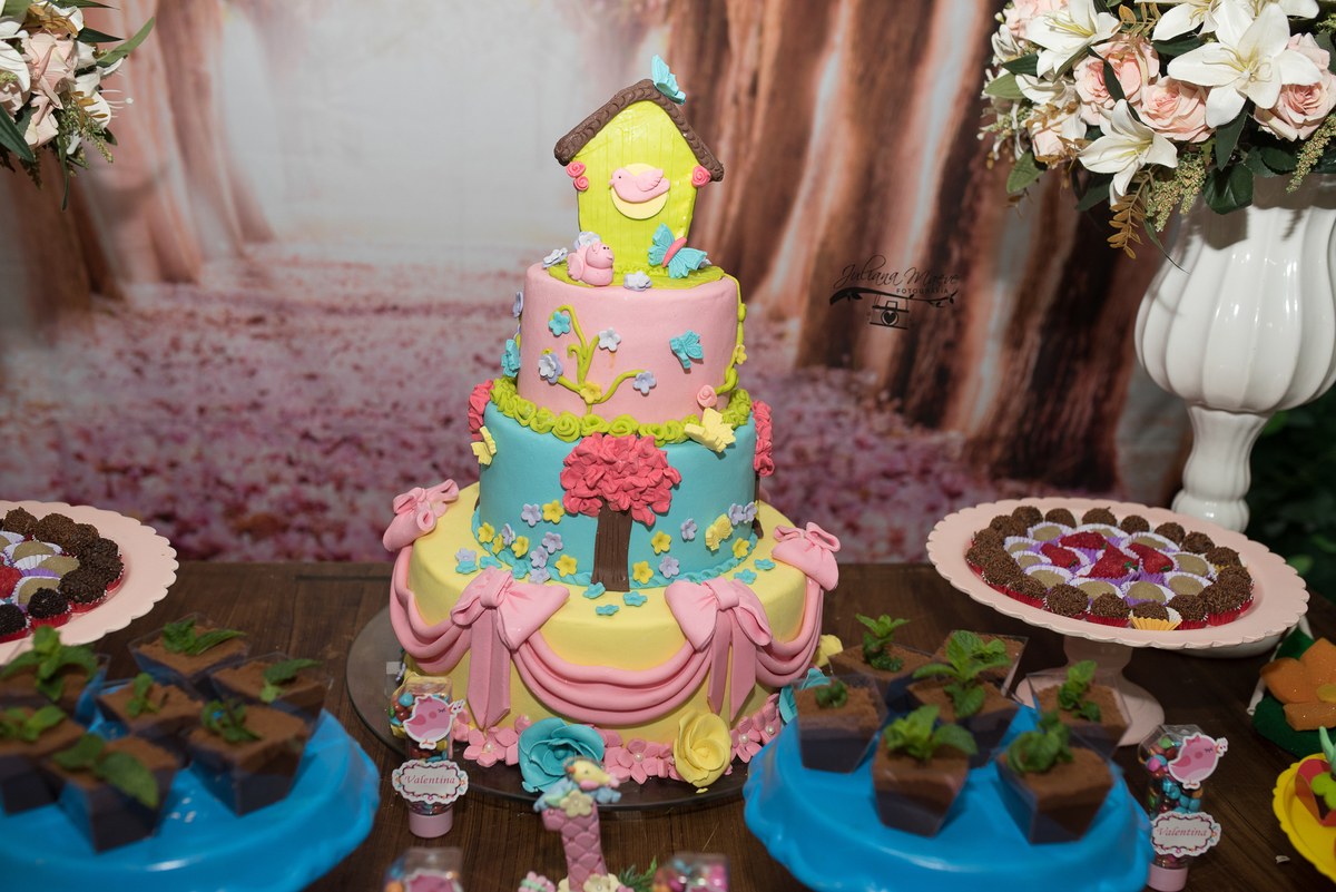 Aniversario  Infantil ouro preto, Juliana Maeve, Juliana maeve Fotografia, Fotografa de Aniversario em ouro preto, Fotografa Infantil Ouro Preto, Fotografa de bebes em Ouro Preto, Aniversario de criança em ouro Preto, fotografa de familia em ouro preto