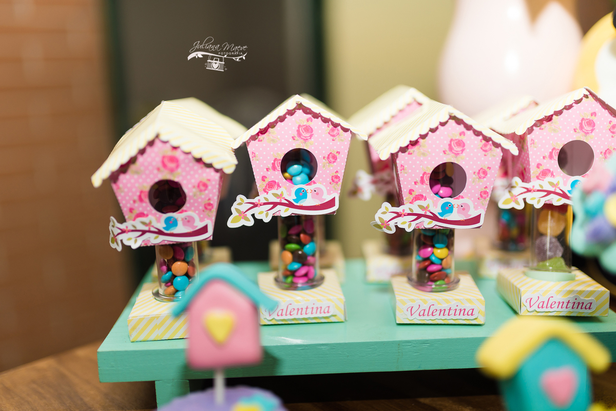 Aniversario  Infantil ouro preto, Juliana Maeve, Juliana maeve Fotografia, Fotografa de Aniversario em ouro preto, Fotografa Infantil Ouro Preto, Fotografa de bebes em Ouro Preto, Aniversario de criança em ouro Preto, fotografa de familia em ouro pretov