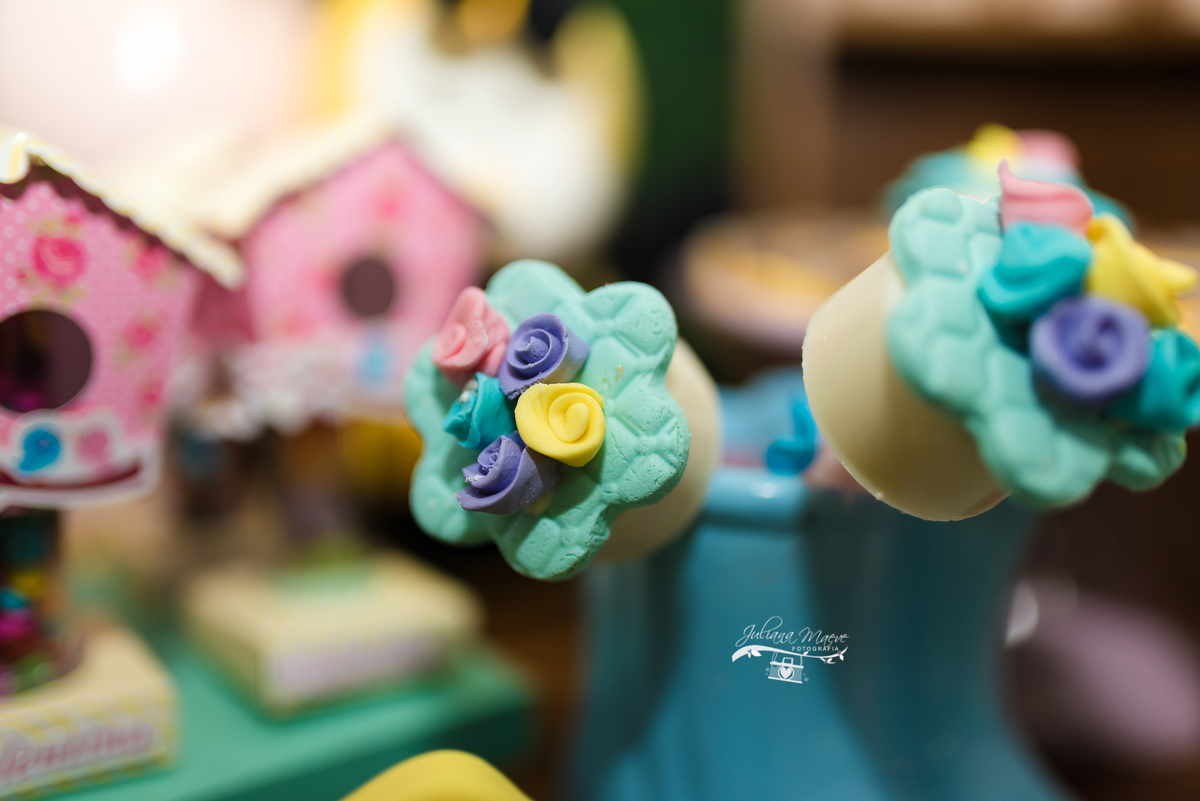 Aniversario  Infantil ouro preto, Juliana Maeve, Juliana maeve Fotografia, Fotografa de Aniversario em ouro preto, Fotografa Infantil Ouro Preto, Fotografa de bebes em Ouro Preto, Aniversario de criança em ouro Preto, fotografa de familia em ouro preto