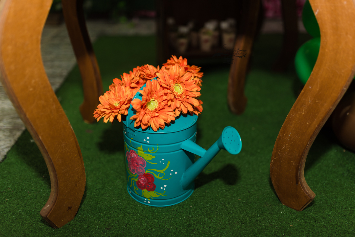 Aniversario  Infantil ouro preto, Juliana Maeve, Juliana maeve Fotografia, Fotografa de Aniversario em ouro preto, Fotografa Infantil Ouro Preto, Fotografa de bebes em Ouro Preto, Aniversario de criança em ouro Preto, fotografa de familia em ouro preto