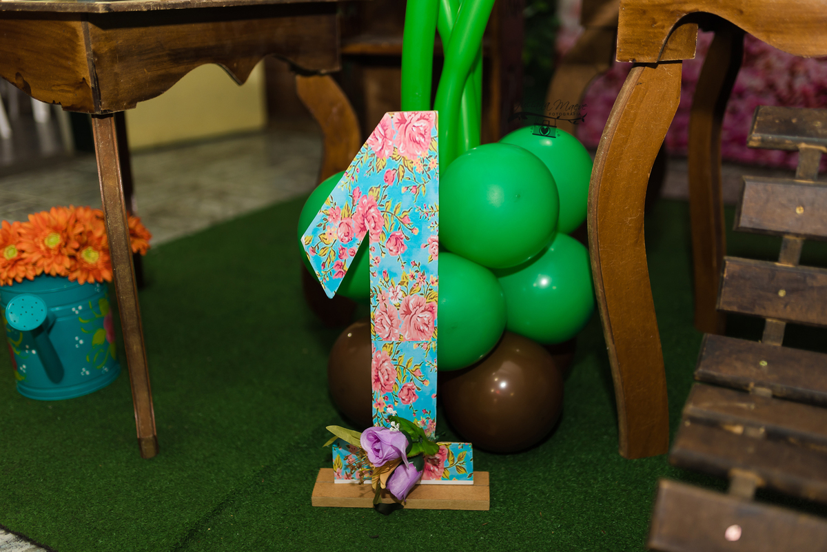 Aniversario  Infantil ouro preto, Juliana Maeve, Juliana maeve Fotografia, Fotografa de Aniversario em ouro preto, Fotografa Infantil Ouro Preto, Fotografa de bebes em Ouro Preto, Aniversario de criança em ouro Preto, fotografa de familia em ouro preto