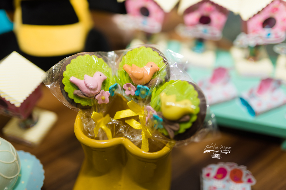 Aniversario  Infantil ouro preto, Juliana Maeve, Juliana maeve Fotografia, Fotografa de Aniversario em ouro preto, Fotografa Infantil Ouro Preto, Fotografa de bebes em Ouro Preto, Aniversario de criança em ouro Preto, fotografa de familia em ouro preto