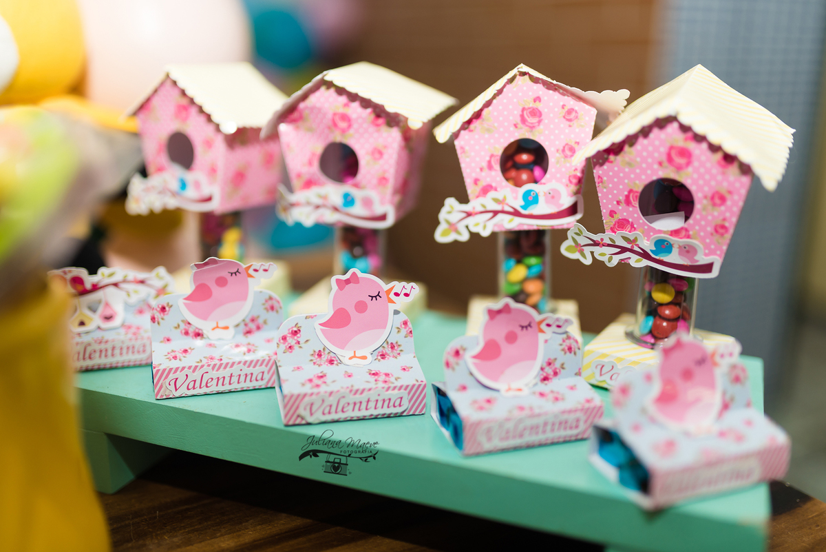 Aniversario  Infantil ouro preto, Juliana Maeve, Juliana maeve Fotografia, Fotografa de Aniversario em ouro preto, Fotografa Infantil Ouro Preto, Fotografa de bebes em Ouro Preto, Aniversario de criança em ouro Preto, fotografa de familia em ouro preto