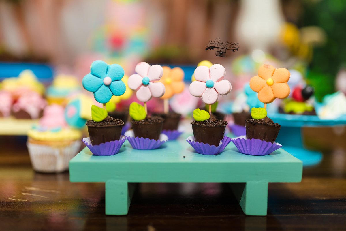 Aniversario  Infantil ouro preto, Juliana Maeve, Juliana maeve Fotografia, Fotografa de Aniversario em ouro preto, Fotografa Infantil Ouro Preto, Fotografa de bebes em Ouro Preto, Aniversario de criança em ouro Preto, fotografa de familia em ouro preto