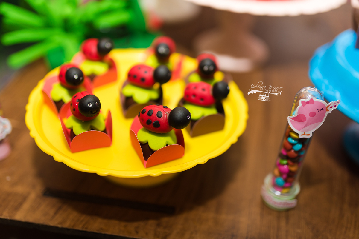 Aniversario  Infantil ouro preto, Juliana Maeve, Juliana maeve Fotografia, Fotografa de Aniversario em ouro preto, Fotografa Infantil Ouro Preto, Fotografa de bebes em Ouro Preto, Aniversario de criança em ouro Preto, fotografa de familia em ouro preto