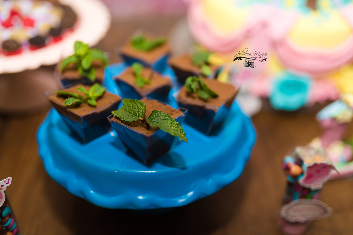 Aniversario  Infantil ouro preto, Juliana Maeve, Juliana maeve Fotografia, Fotografa de Aniversario em ouro preto, Fotografa Infantil Ouro Preto, Fotografa de bebes em Ouro Preto, Aniversario de criança em ouro Preto, fotografa de familia em ouro preto