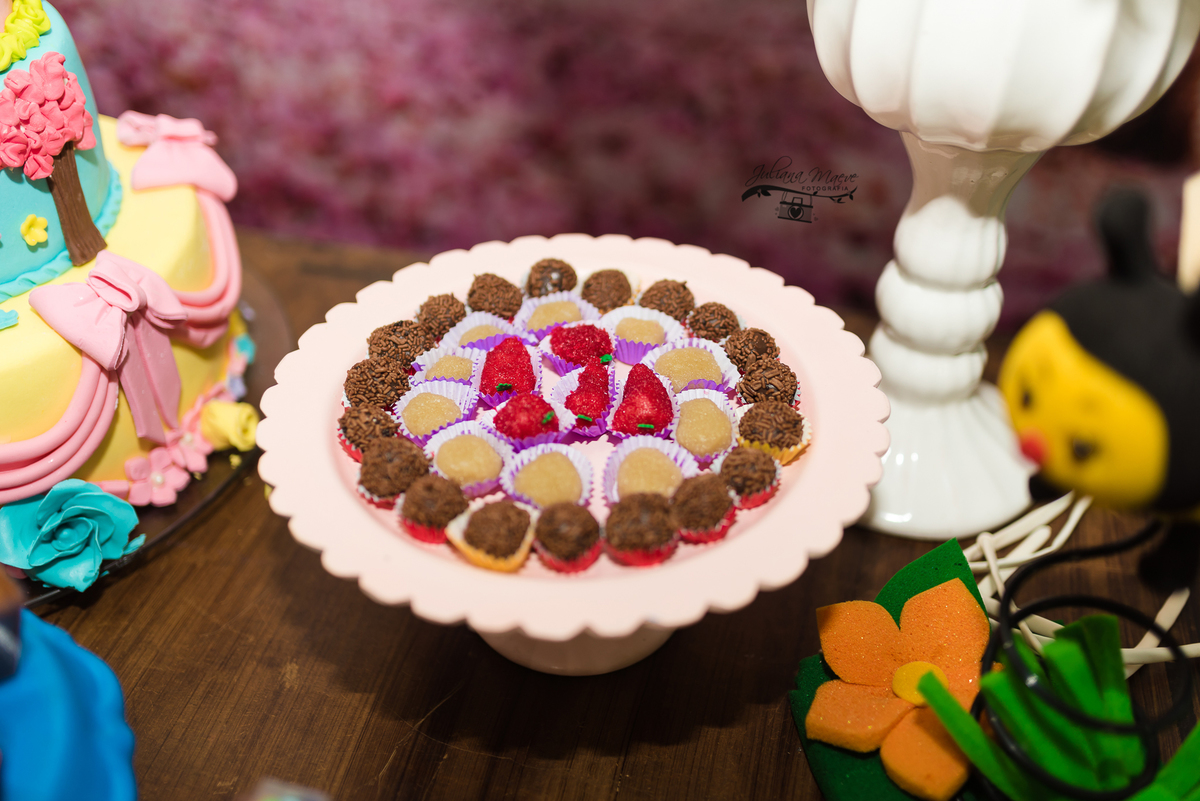 Aniversario  Infantil ouro preto, Juliana Maeve, Juliana maeve Fotografia, Fotografa de Aniversario em ouro preto, Fotografa Infantil Ouro Preto, Fotografa de bebes em Ouro Preto, Aniversario de criança em ouro Preto, fotografa de familia em ouro preto