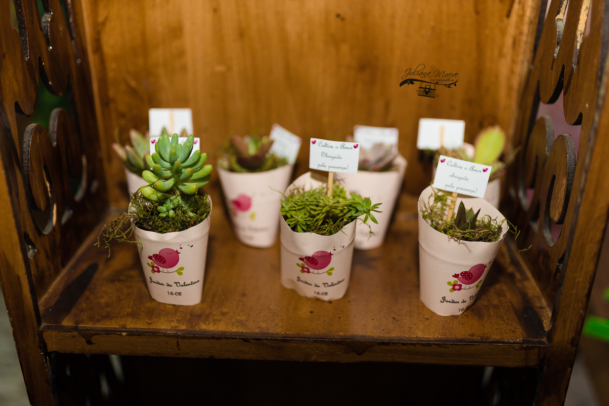 Aniversario  Infantil ouro preto, Juliana Maeve, Juliana maeve Fotografia, Fotografa de Aniversario em ouro preto, Fotografa Infantil Ouro Preto, Fotografa de bebes em Ouro Preto, Aniversario de criança em ouro Preto, fotografa de familia em ouro pretov