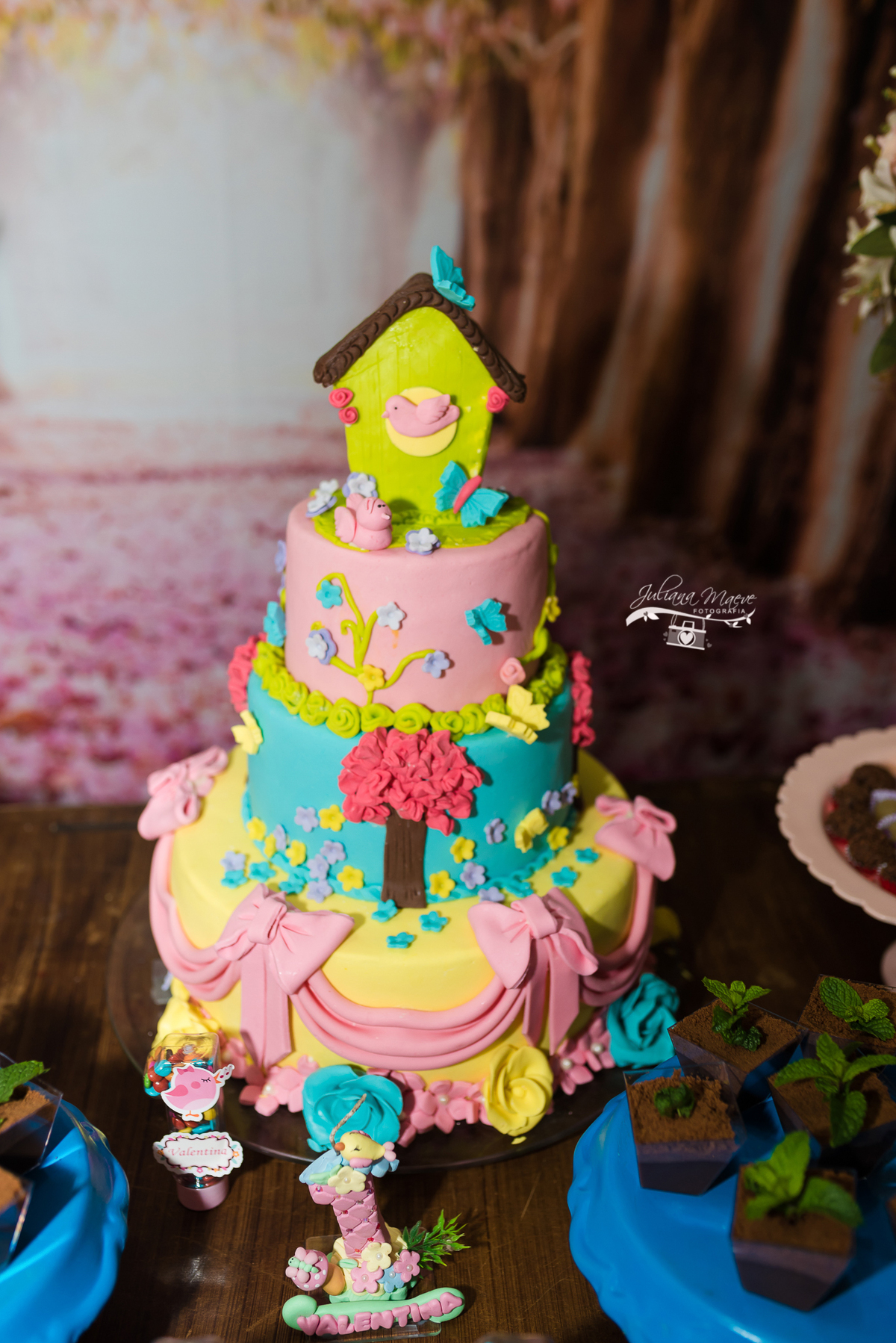 Aniversario  Infantil ouro preto, Juliana Maeve, Juliana maeve Fotografia, Fotografa de Aniversario em ouro preto, Fotografa Infantil Ouro Preto, Fotografa de bebes em Ouro Preto, Aniversario de criança em ouro Preto, fotografa de familia em ouro preto