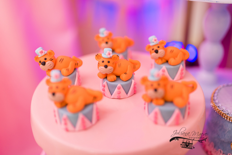 Aniversario  Infantil ouro preto, Juliana Maeve, Juliana maeve Fotografia, Fotografa de Aniversario em ouro preto, Fotografa Infantil Ouro Preto, Fotografa de bebes em Ouro Preto, Aniversario de criança em ouro Preto, fotografa de familia em ouro preto