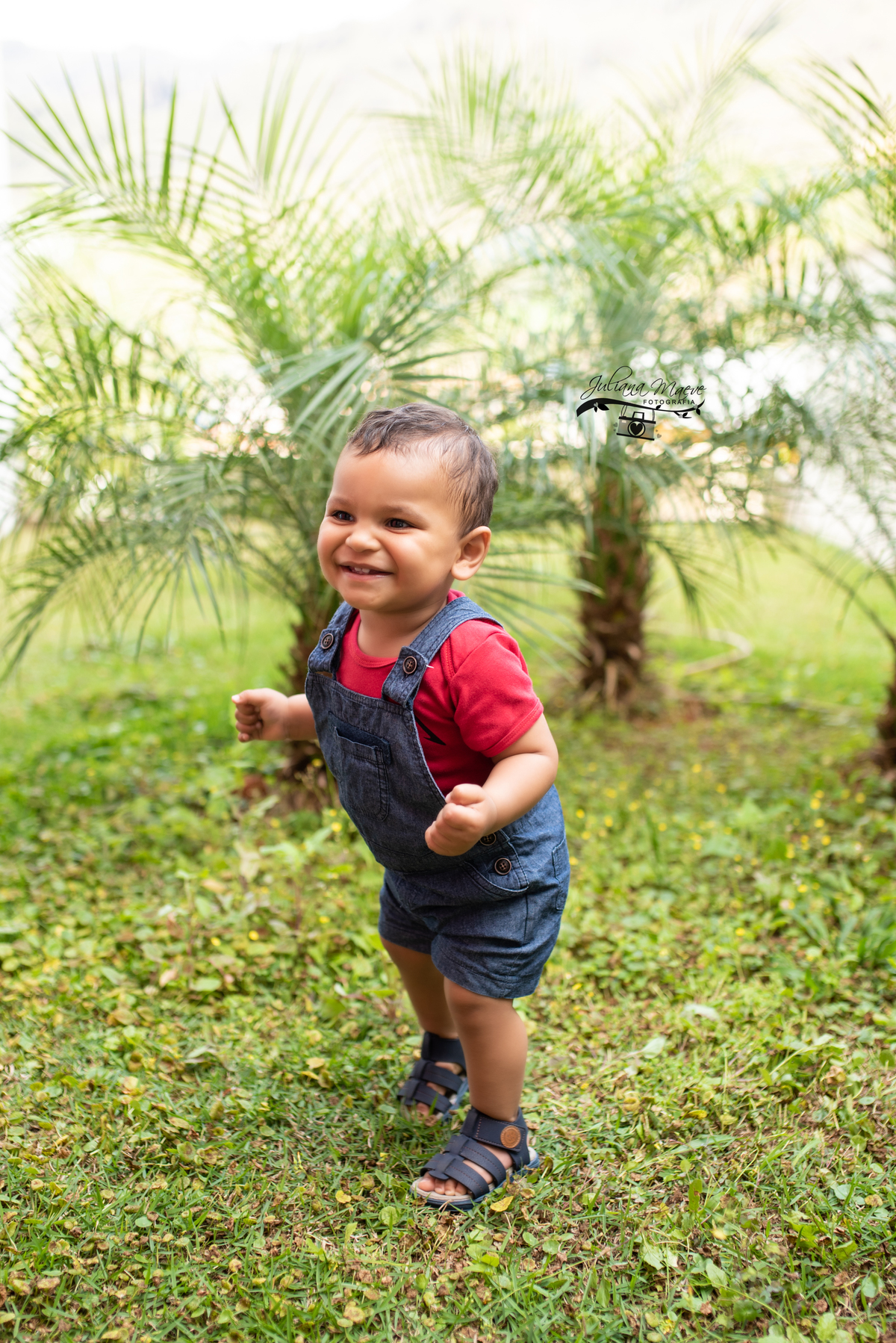 Smash The cake Ouro Preto, Fotografia Ouro Preto, Fotografa Ouro Preto, Fotografa Infantil Ouro PReto, Fotografa Newborn Ouro Preto, Juliana Maeve, Juliana Maeve Fotografia