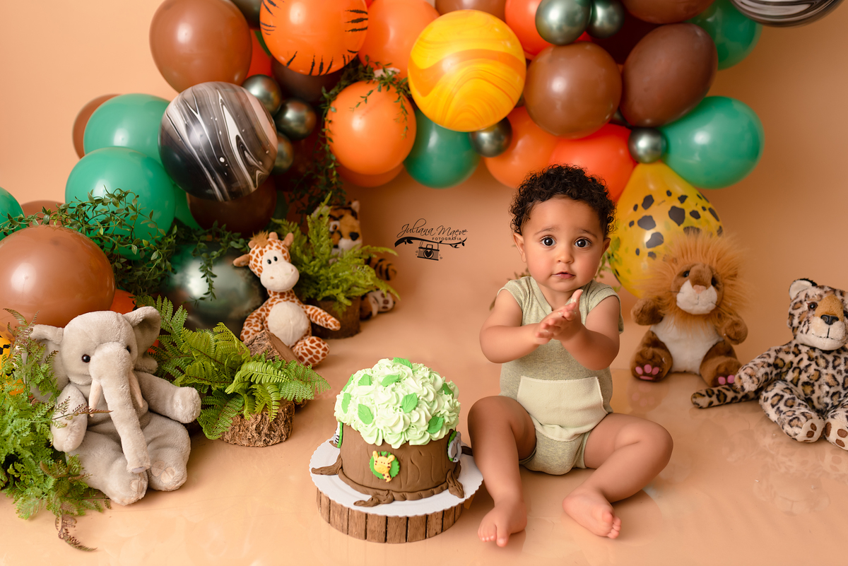 Smash The cake Ouro Preto, Fotografia Ouro Preto, Fotografa Ouro Preto, Fotografa Infantil Ouro PReto, Fotografa Newborn Ouro Preto, Juliana Maeve, Juliana Maeve Fotografia