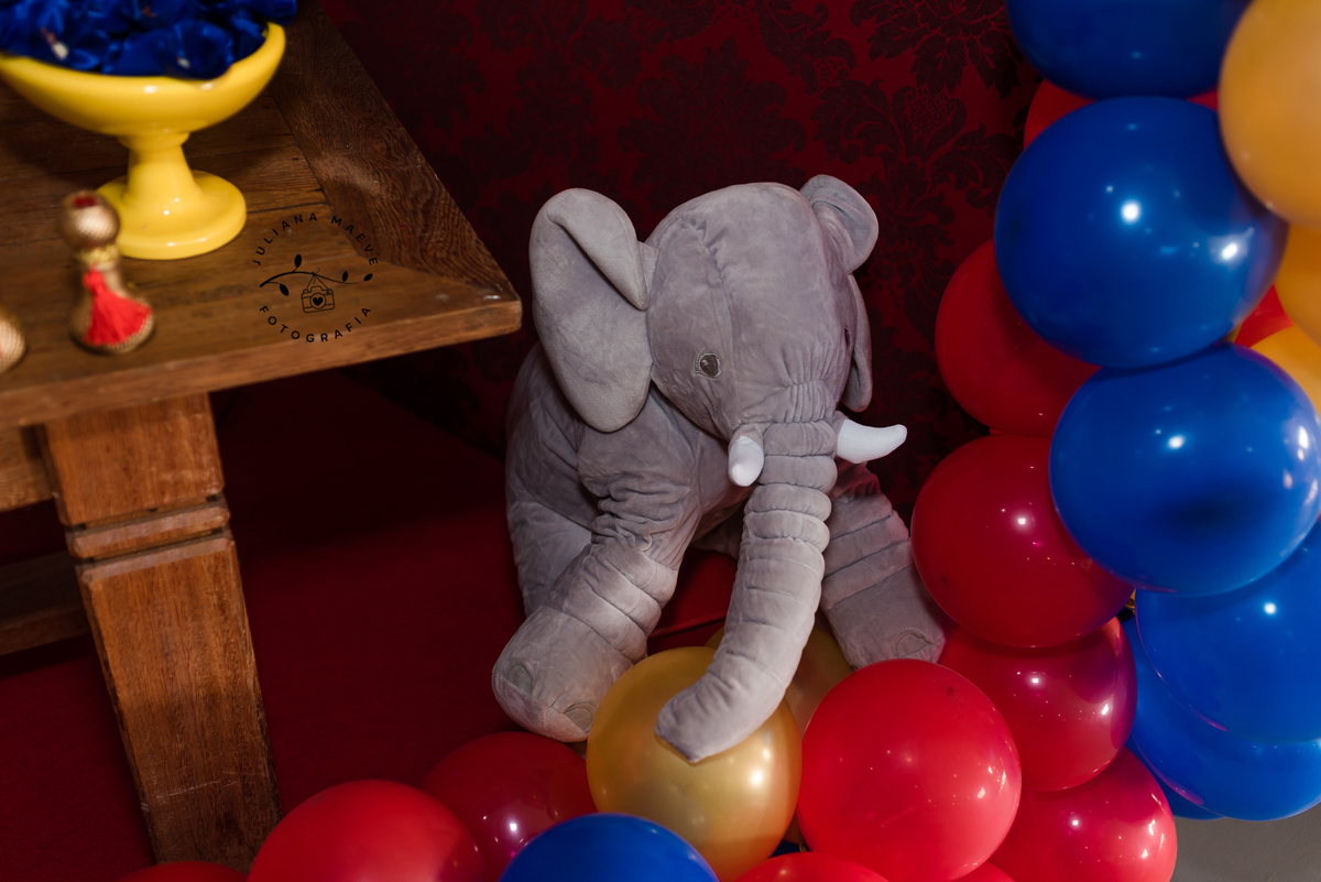 Aniversario  Infantil ouro preto, Juliana Maeve, Juliana maeve Fotografia, Fotografa de Aniversario em ouro preto, Fotografa Infantil Ouro Preto, Fotografa de bebes em Ouro Preto, Aniversario de criança em ouro Preto, fotografa de familia em ouro preto