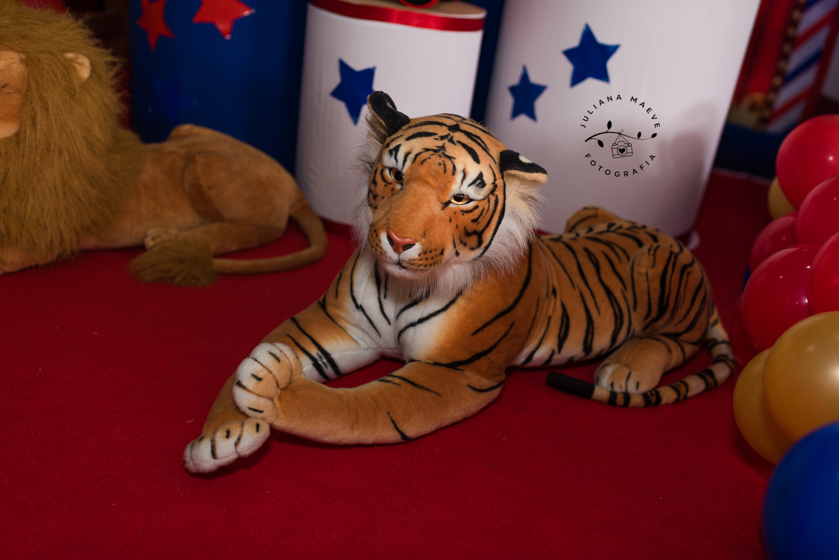 Aniversario  Infantil ouro preto, Juliana Maeve, Juliana maeve Fotografia, Fotografa de Aniversario em ouro preto, Fotografa Infantil Ouro Preto, Fotografa de bebes em Ouro Preto, Aniversario de criança em ouro Preto, fotografa de familia em ouro preto