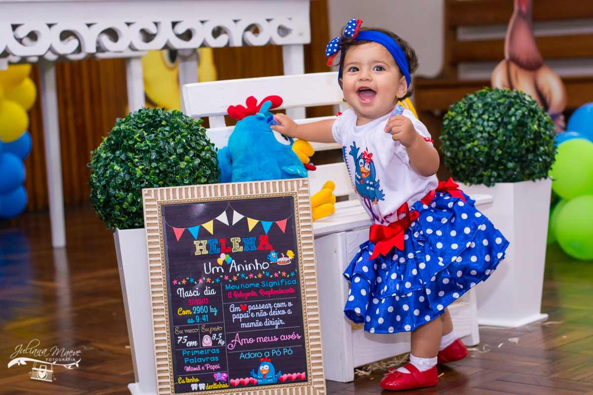 Aniversario Ouro Preto, Fotografia Ouro preto, Fotografa Ouro Preto, aniversario infantil, Juliana Maeve, Juliana Maeve Fotografia, Ouro Preto, Aniversario Helena, Aniversario galinha Pintadinha