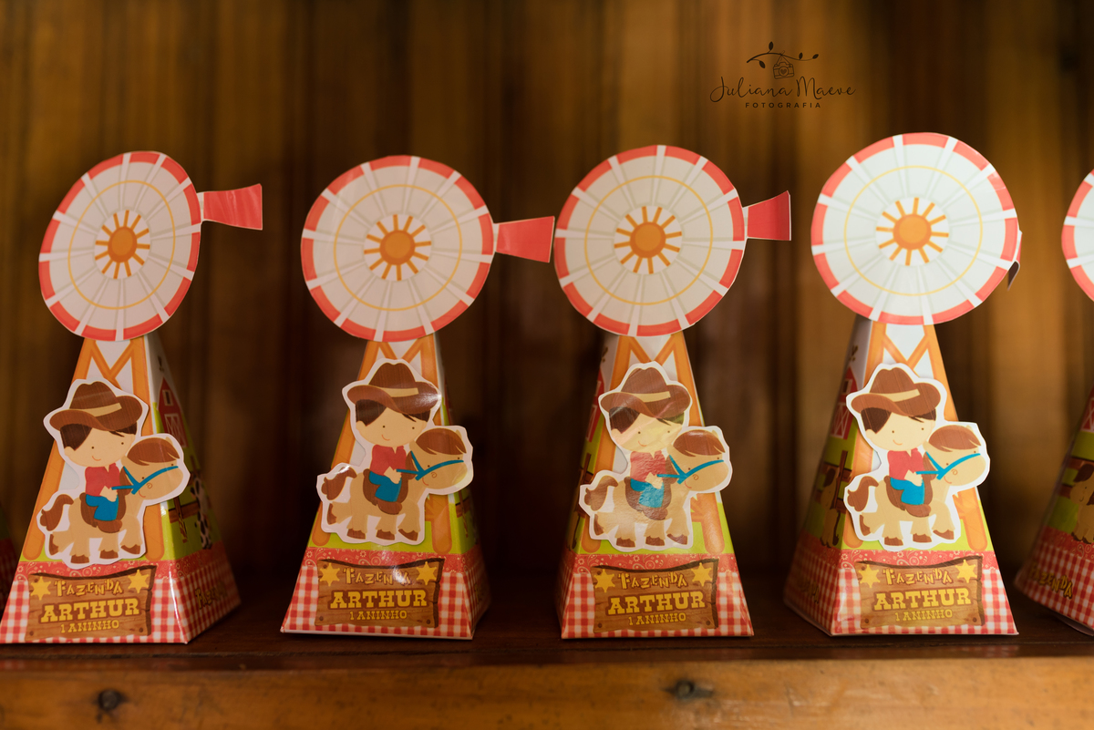 Aniversario  Infantil ouro preto, Juliana Maeve, Juliana maeve Fotografia, Fotografa de Aniversario em ouro preto, Fotografa Infantil Ouro Preto, Fotografa de bebes em Ouro Preto, Aniversario de criança em ouro Preto, fotografa de familia em ouro preto