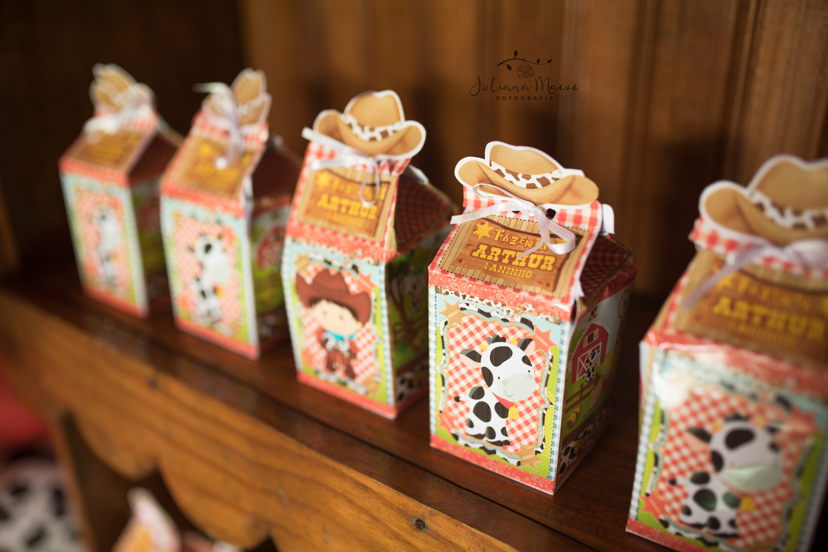 Aniversario  Infantil ouro preto, Juliana Maeve, Juliana maeve Fotografia, Fotografa de Aniversario em ouro preto, Fotografa Infantil Ouro Preto, Fotografa de bebes em Ouro Preto, Aniversario de criança em ouro Preto, fotografa de familia em ouro preto