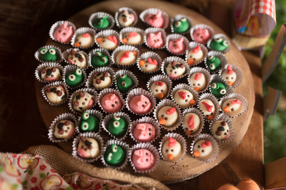 Aniversario  Infantil ouro preto, Juliana Maeve, Juliana maeve Fotografia, Fotografa de Aniversario em ouro preto, Fotografa Infantil Ouro Preto, Fotografa de bebes em Ouro Preto, Aniversario de criança em ouro Preto, fotografa de familia em ouro preto