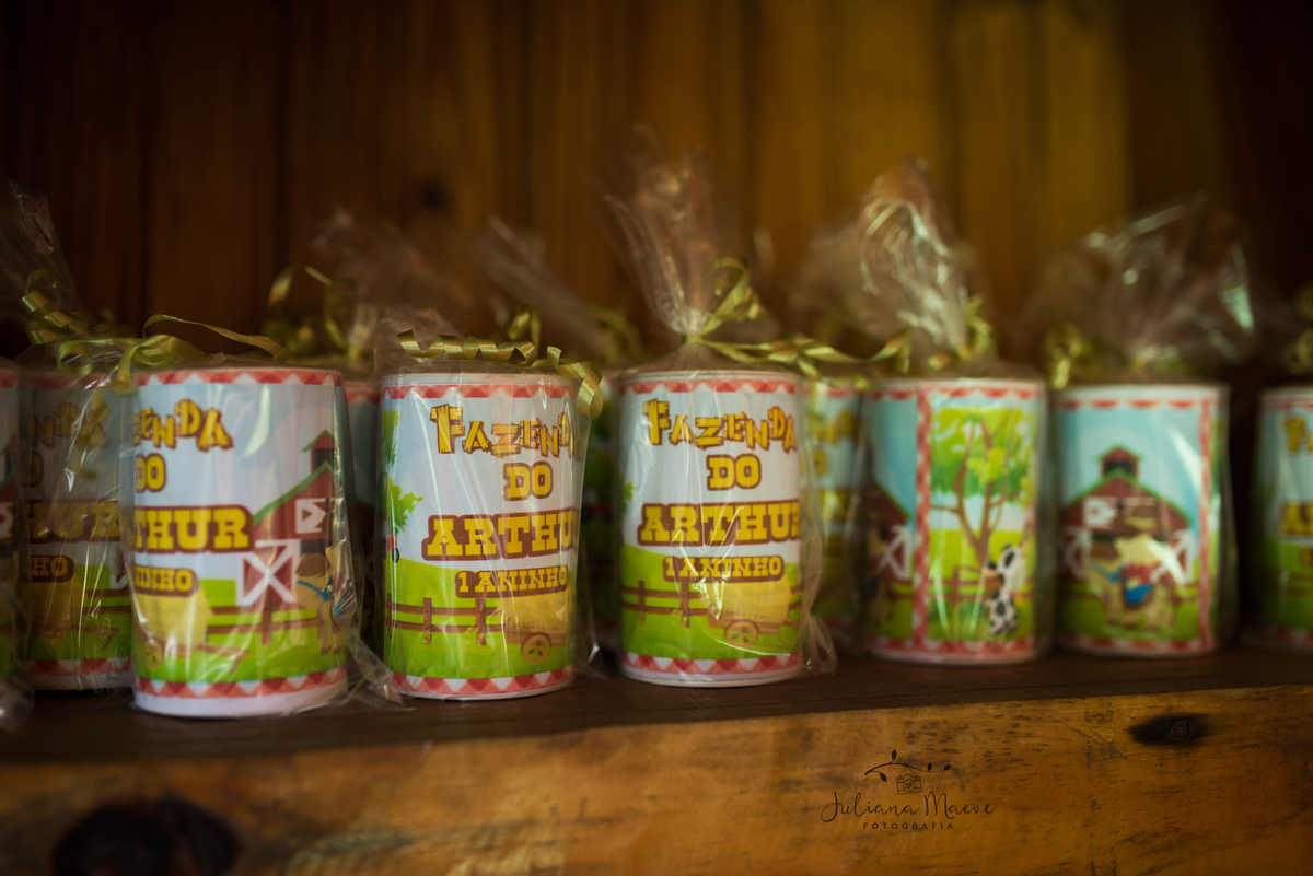 Aniversario  Infantil ouro preto, Juliana Maeve, Juliana maeve Fotografia, Fotografa de Aniversario em ouro preto, Fotografa Infantil Ouro Preto, Fotografa de bebes em Ouro Preto, Aniversario de criança em ouro Preto, fotografa de familia em ouro preto