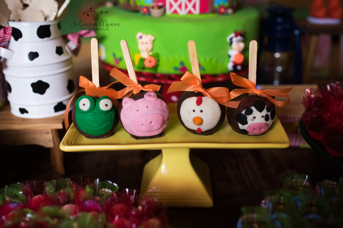 Aniversario  Infantil ouro preto, Juliana Maeve, Juliana maeve Fotografia, Fotografa de Aniversario em ouro preto, Fotografa Infantil Ouro Preto, Fotografa de bebes em Ouro Preto, Aniversario de criança em ouro Preto, fotografa de familia em ouro preto