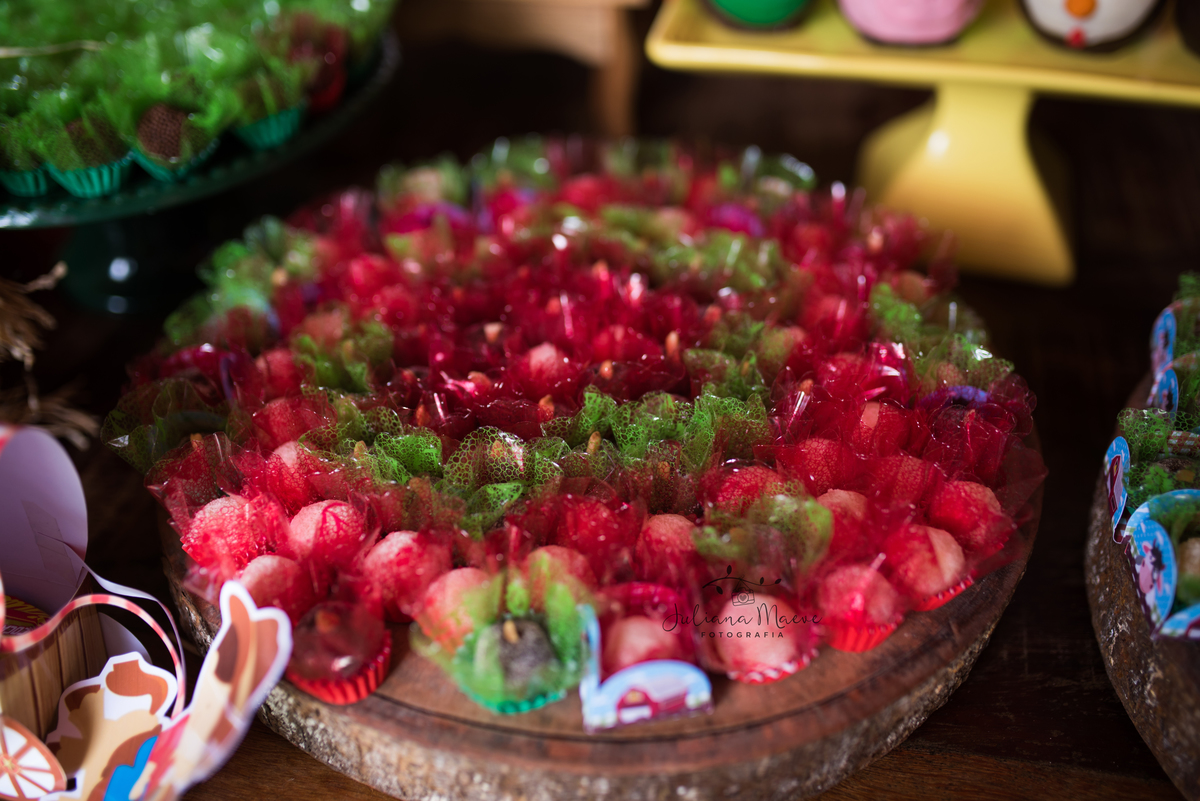 Aniversario  Infantil ouro preto, Juliana Maeve, Juliana maeve Fotografia, Fotografa de Aniversario em ouro preto, Fotografa Infantil Ouro Preto, Fotografa de bebes em Ouro Preto, Aniversario de criança em ouro Preto, fotografa de familia em ouro preto