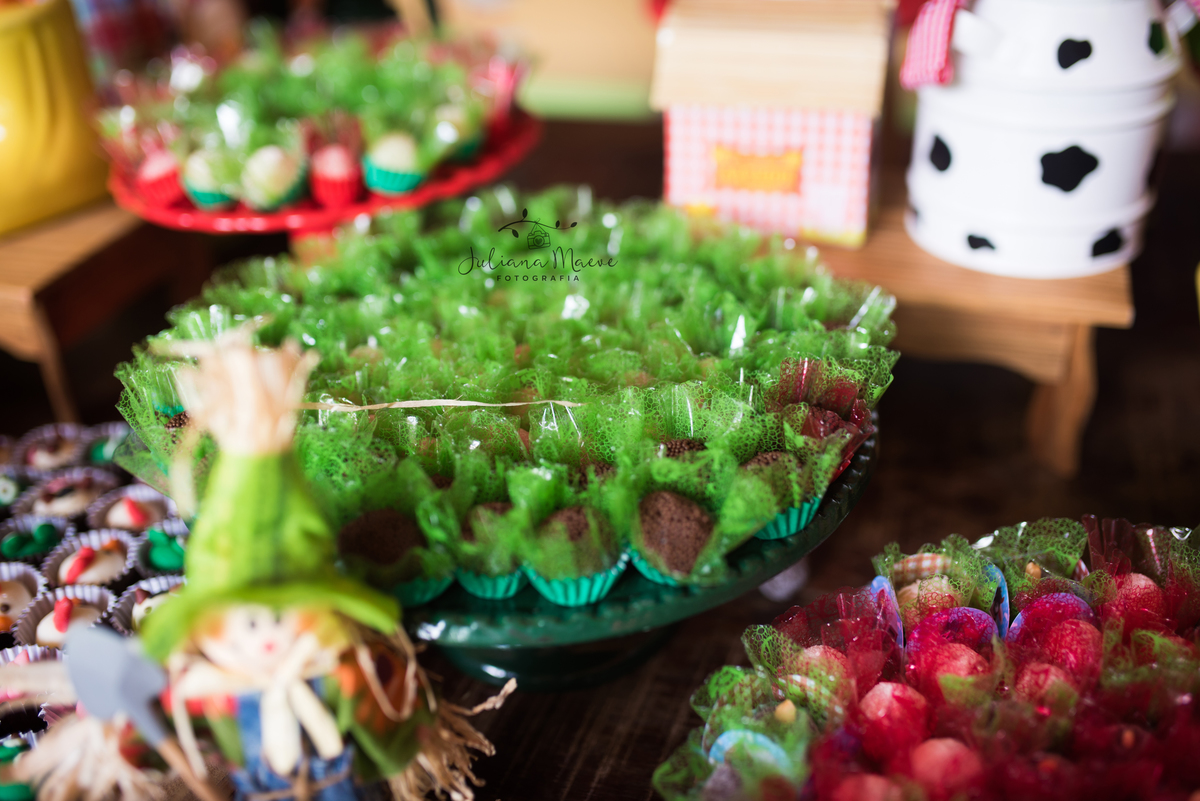 Aniversario  Infantil ouro preto, Juliana Maeve, Juliana maeve Fotografia, Fotografa de Aniversario em ouro preto, Fotografa Infantil Ouro Preto, Fotografa de bebes em Ouro Preto, Aniversario de criança em ouro Preto, fotografa de familia em ouro preto