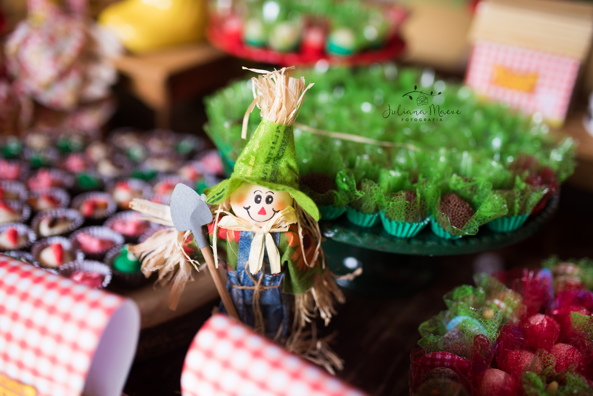 Aniversario  Infantil ouro preto, Juliana Maeve, Juliana maeve Fotografia, Fotografa de Aniversario em ouro preto, Fotografa Infantil Ouro Preto, Fotografa de bebes em Ouro Preto, Aniversario de criança em ouro Preto, fotografa de familia em ouro preto