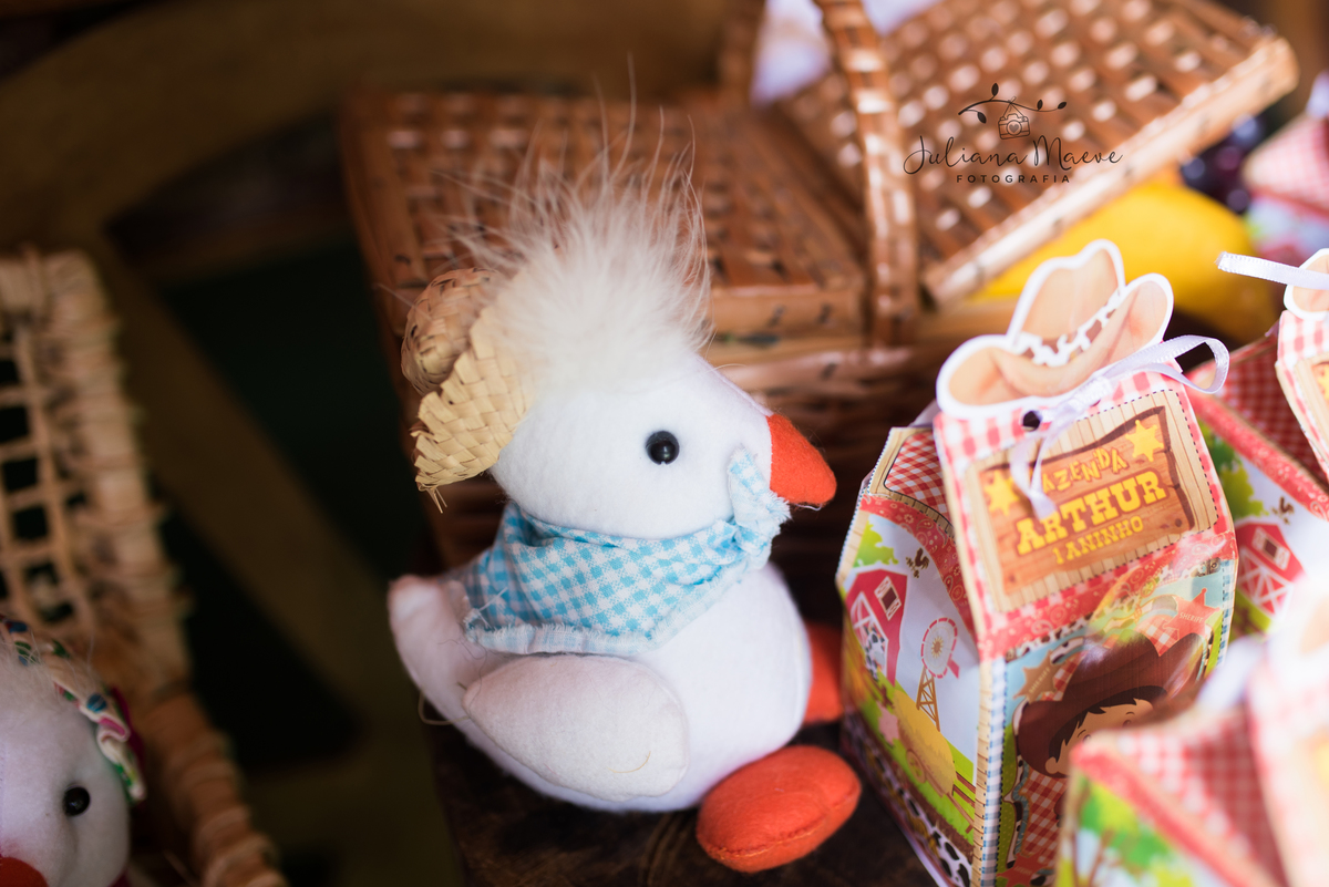 Aniversario  Infantil ouro preto, Juliana Maeve, Juliana maeve Fotografia, Fotografa de Aniversario em ouro preto, Fotografa Infantil Ouro Preto, Fotografa de bebes em Ouro Preto, Aniversario de criança em ouro Preto, fotografa de familia em ouro preto