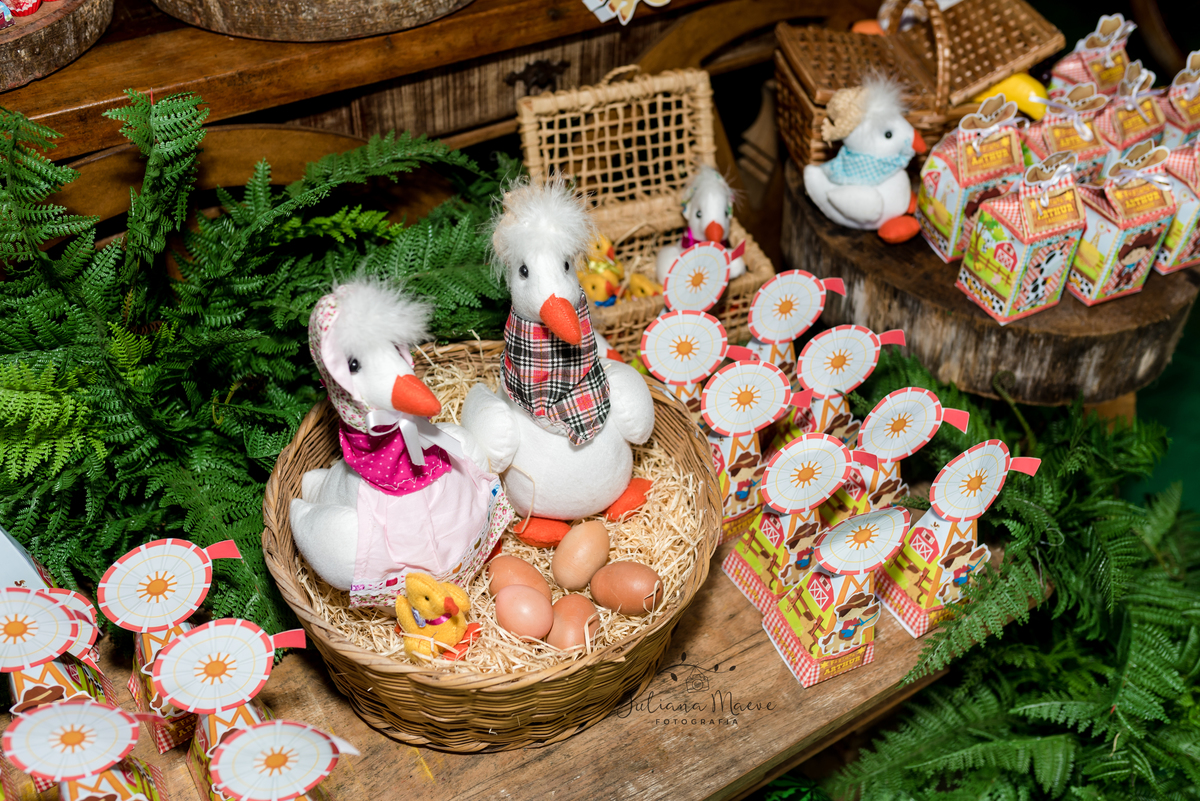 Aniversario  Infantil ouro preto, Juliana Maeve, Juliana maeve Fotografia, Fotografa de Aniversario em ouro preto, Fotografa Infantil Ouro Preto, Fotografa de bebes em Ouro Preto, Aniversario de criança em ouro Preto, fotografa de familia em ouro preto