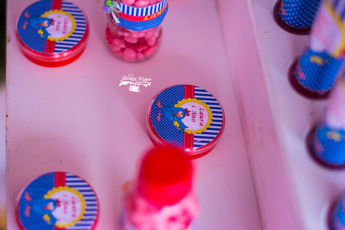 Aniversario Ouro Preto, Fotografia Infantil Ouro Preto, Aniversario Infantil Ouro Preto, Aniversario , Juliana Maeve, Juliana Maeve Fotografia, Fotografa Infantil Ouro Preto, Fotografa Ouro Preto