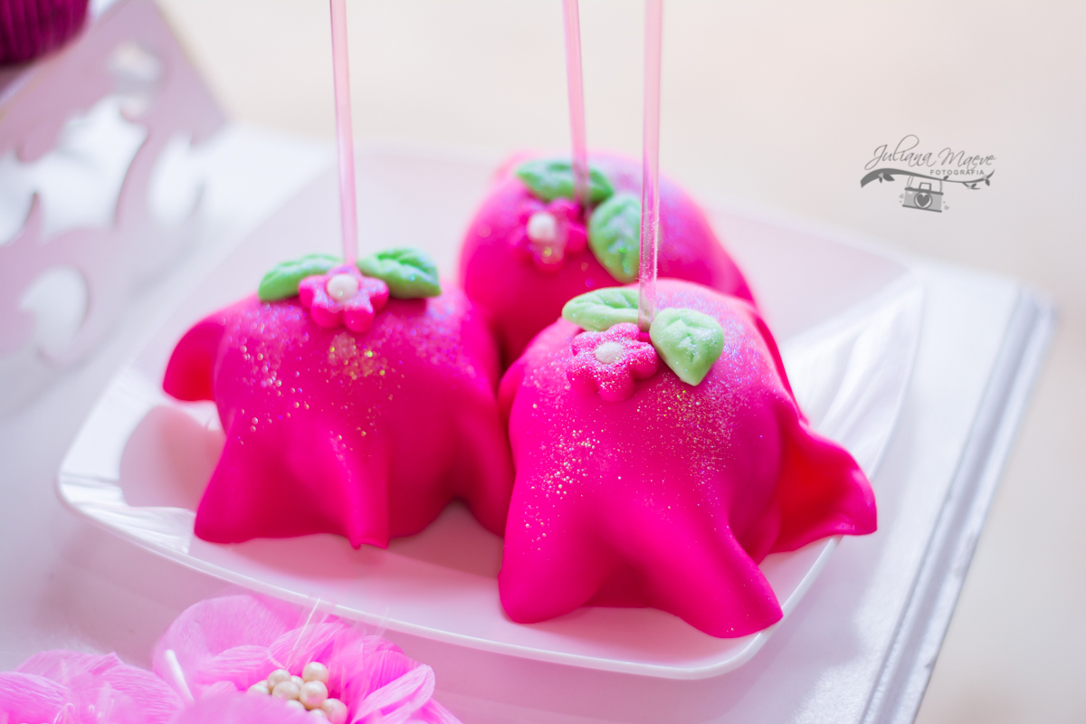 Juliana Maeve Fotografia, Fotografa Ouro Preto, Festa Infantil Belo Horizonte, Fotografa Infantil Ouro Preto, Aniversario Borboleta, Aniversario Ouro Preto, Juliana Maeve