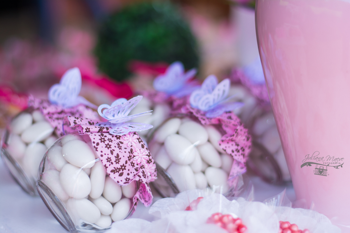 Juliana Maeve Fotografia, Fotografa Ouro Preto, Festa Infantil Belo Horizonte, Fotografa Infantil Ouro Preto, Aniversario Borboleta, Aniversario Ouro Preto, Juliana Maeve