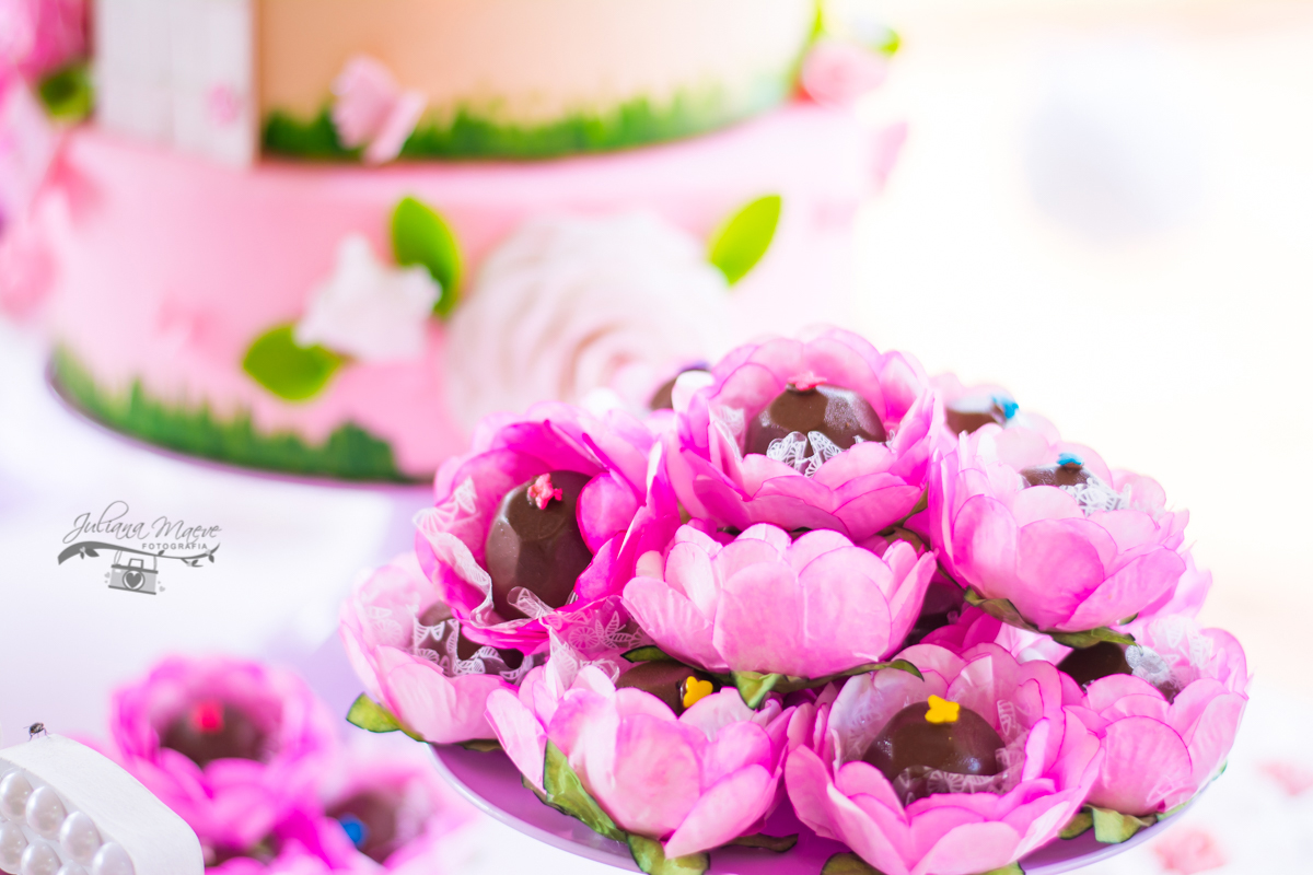 Juliana Maeve Fotografia, Fotografa Ouro Preto, Festa Infantil Belo Horizonte, Fotografa Infantil Ouro Preto, Aniversario Borboleta, Aniversario Ouro Preto, Juliana Maeve