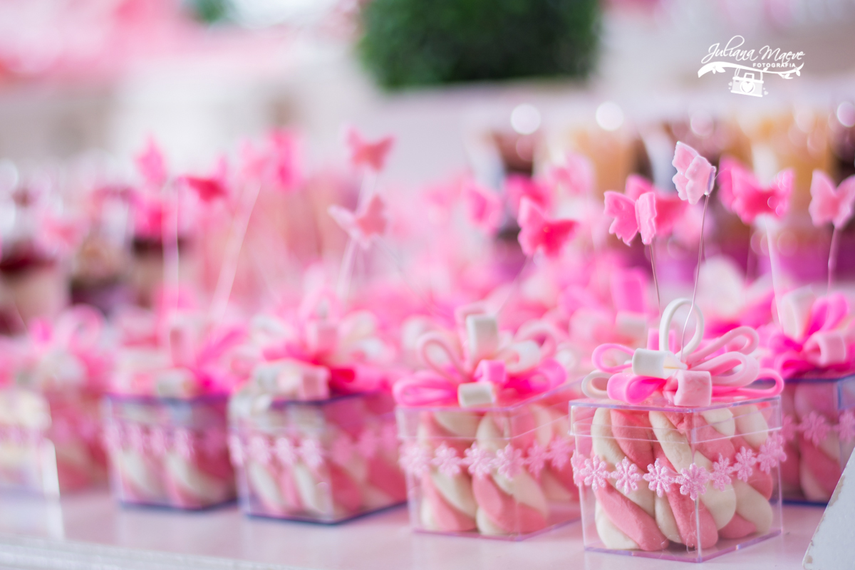 Juliana Maeve Fotografia, Fotografa Ouro Preto, Festa Infantil Belo Horizonte, Fotografa Infantil Ouro Preto, Aniversario Borboleta, Aniversario Ouro Preto, Juliana Maeve