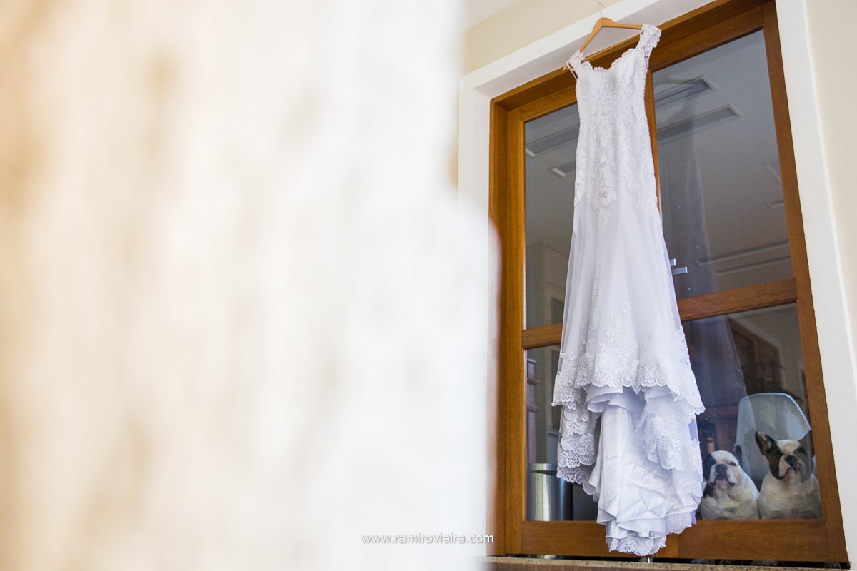 Buldogue francês, os guardiões do vestido!