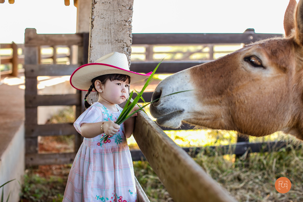 aniversariante com cavallo