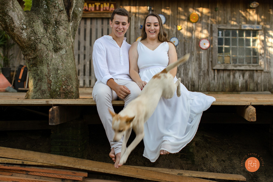 pré wedding cachorro pet