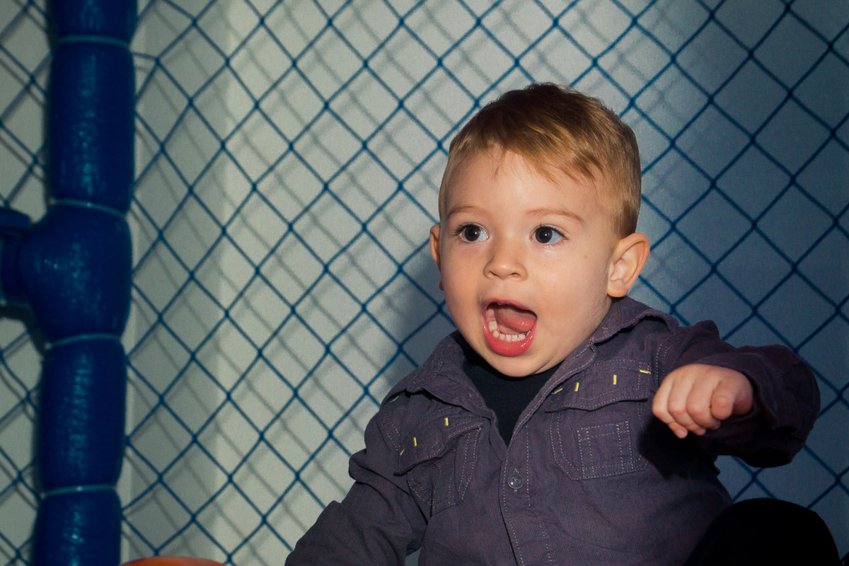 Aniversário Rafa 2 Anos - Fazendinha