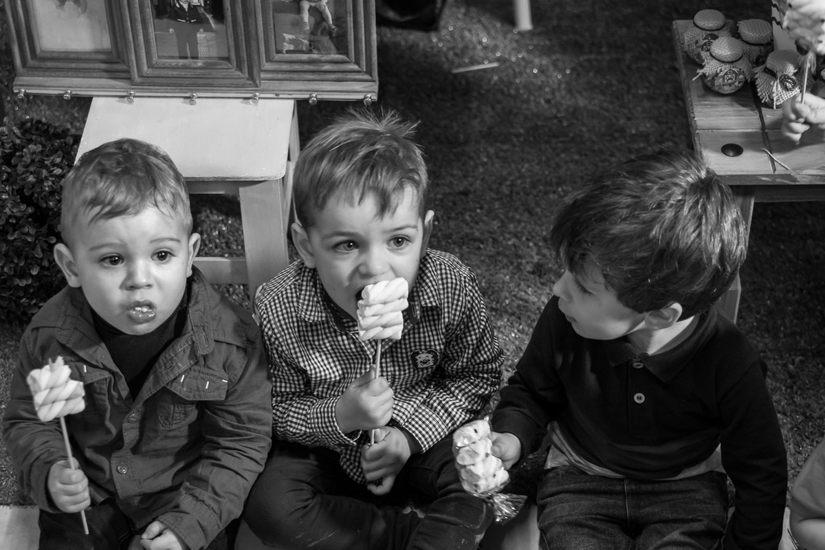 Aniversário Rafa 2 Anos - Fazendinha