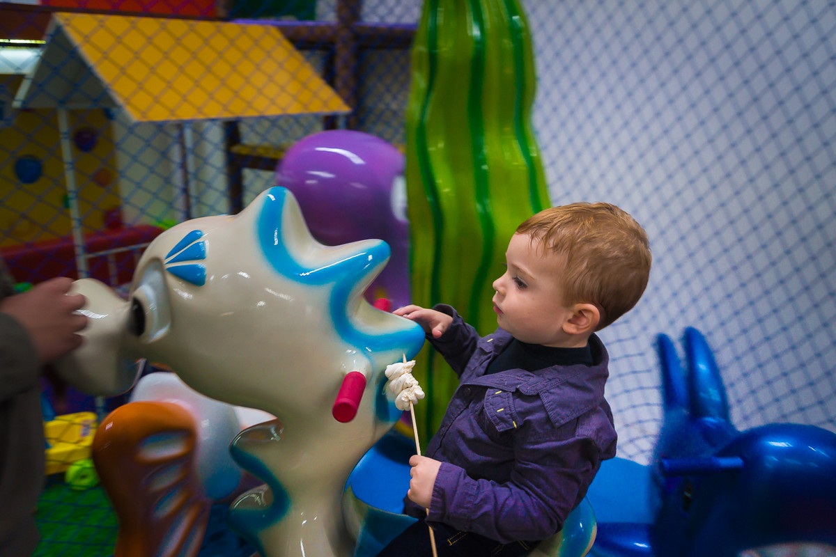 Aniversário Rafa 2 Anos - Fazendinha